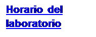 Cuadro de texto: Horario del laboratorio